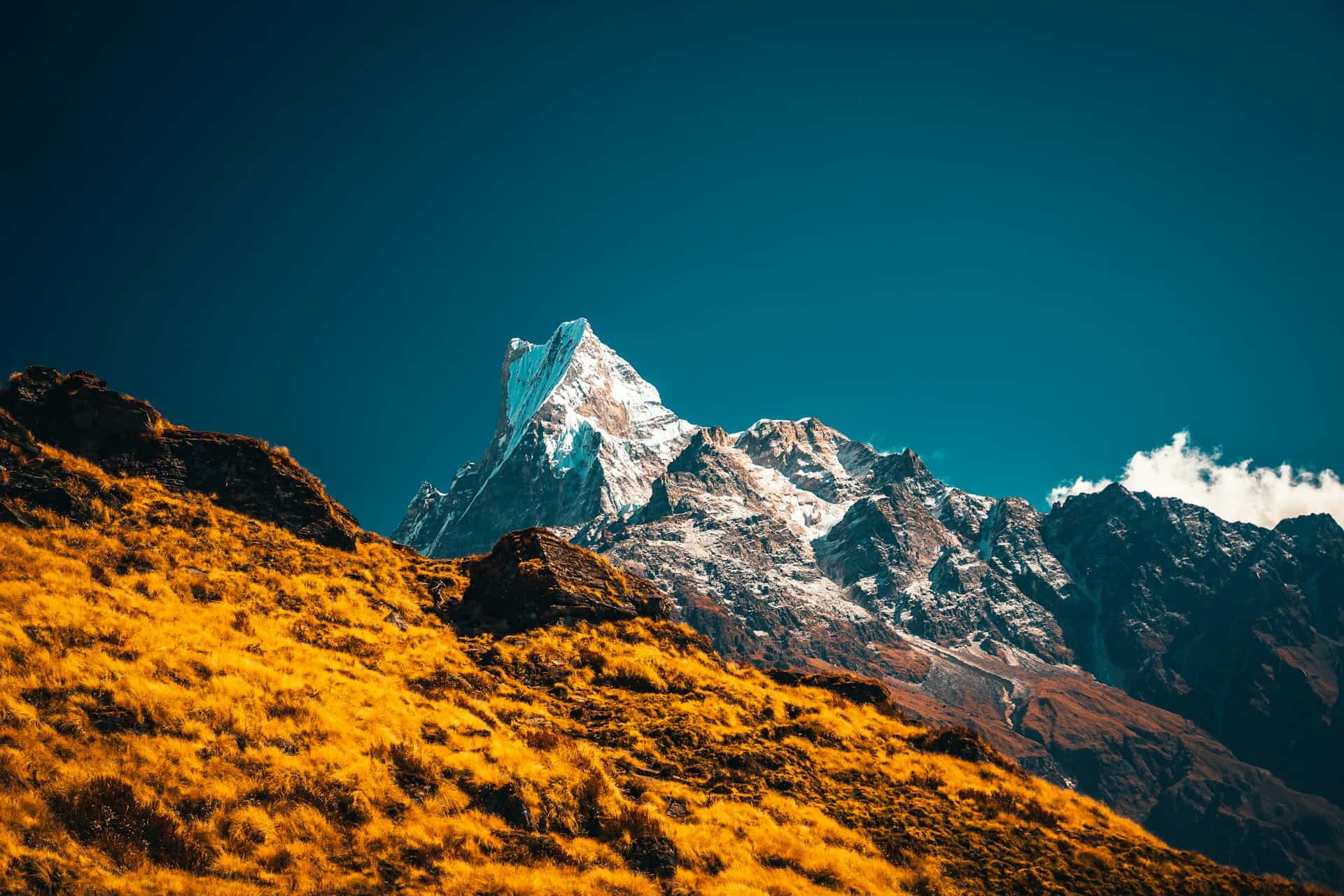 Machhapuchhre Peak: Snow Capped Stunning Views